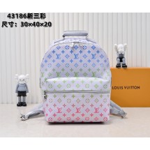 루이비통 아폴로 백팩 (해외배송)