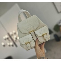 루이비통 백업 백팩 (국내배송)