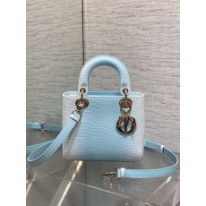 디올 레이디 백 (해외배송)